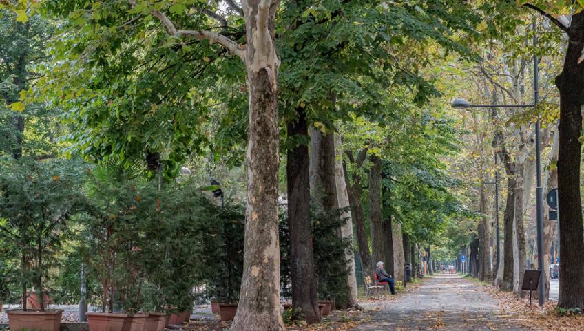 QUATTRO PASSI IN VIALE DEGLI ANGELI A CUNEO